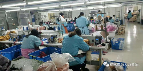 技术与人力资源优化新路径 毛绒玩具厂商奔赴绥德开启技术培训